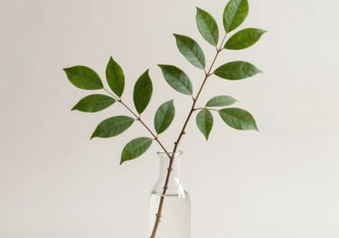 A studio shot of a green botanical branch in a minimalist glass vase against a soft off-white background. Clean, refreshing, and balanced composition.
