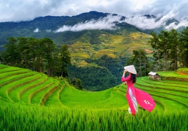 Paysage du Vietnam inclus avec itinéraires du nord Vietnam