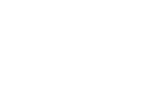 An icon with transparent background representing the idea softwares