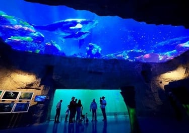 Acuario - Tour Zoologico de guadalajara saliendo de Morelia