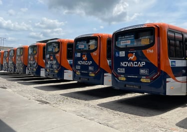 uma fileira de 16 ônibus 0km Caio Apache Vip V modelo 2024 vistos pela traseira