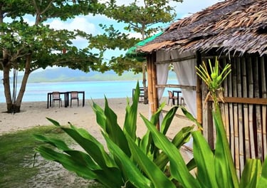 Beach 3D2N Linapacan Island Tour