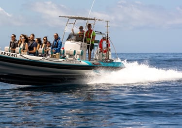 boat cruise by