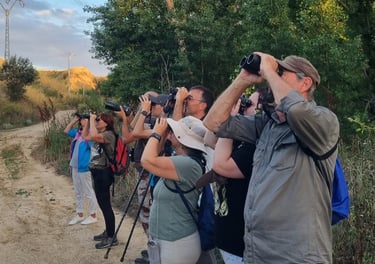 Personas haciendo una actividad en la naturaleza de observación de aves