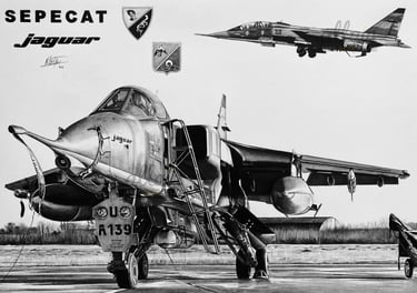 Dessin réaliste en noir et blanc d'un jaguar Sepecat