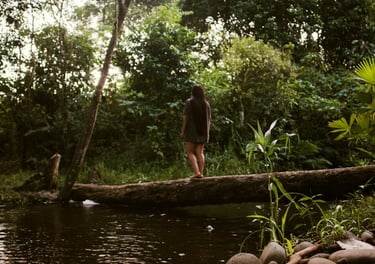 Project Aves Residentes Trailer