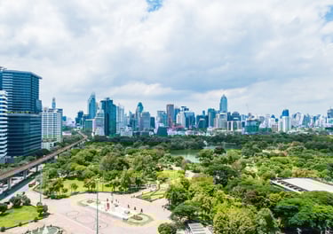 um parque verde com uma cidade ao fundo