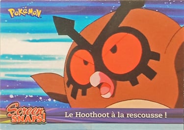 Snaps11 Le hoothoot à la rescousse ! série 3 Jotho