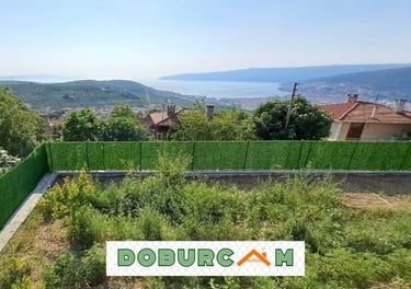 Bursa çimçit