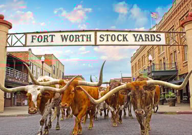 Fortworth Signage 