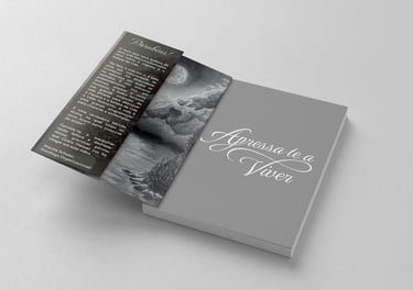 arte para livros de literatura, didáticos e autoajuda