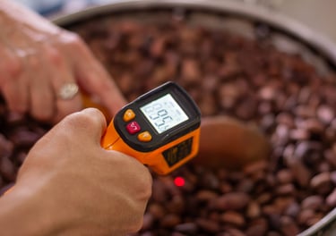 Using an infrared laser thermometer to check temperature of roasting cocoa beans.