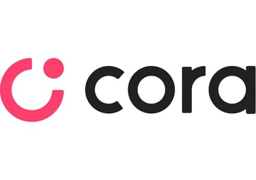 Portal do cliente da contabilidade em Joinville com acesso online e documentos