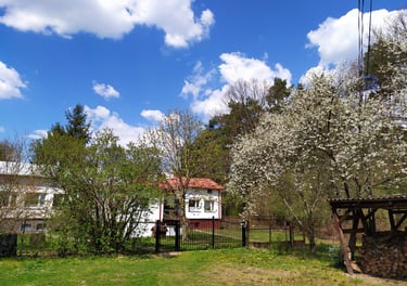 A house with a red roof and a white walls in spring