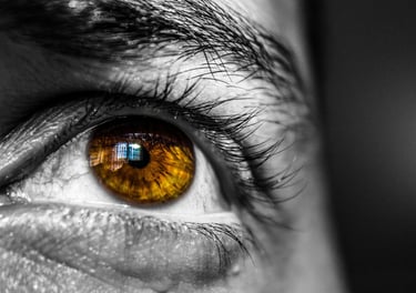 brown iris in man's face