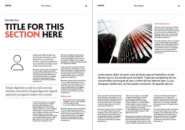 a report spread section