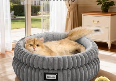 Cat sleeping in a bed.