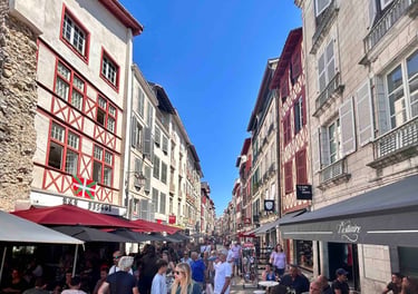 City tour basque country