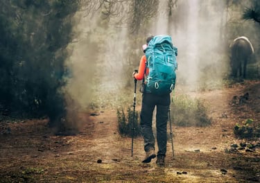 Female hiker with a blue backpack and trekking poles walking through a misty forest trail.