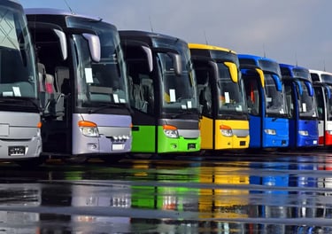 A row of colorful charter buses parked on a wet asphalt lot with vibrant reflections.
