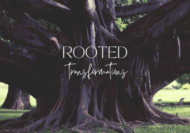 image of a large tree and the text 'rooted transformations'.
