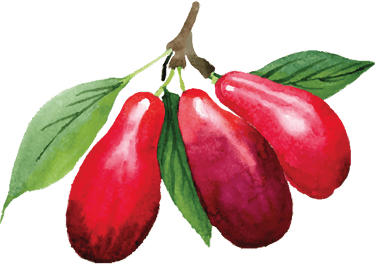 drei rote Kornelkirschen 