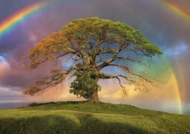 un arc-en-ciel au-dessus d'un arbre