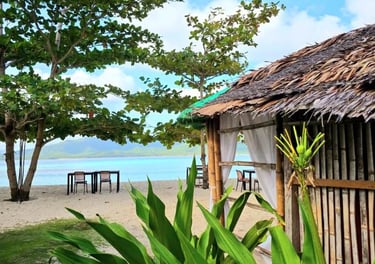 Beach 3D2N Linapacan Island Tour