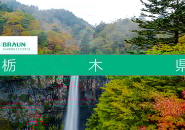 B. Braun Tochigi talent acquisition deck preview