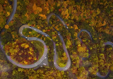 B. Braun Tochigi talent acquisition deck preview