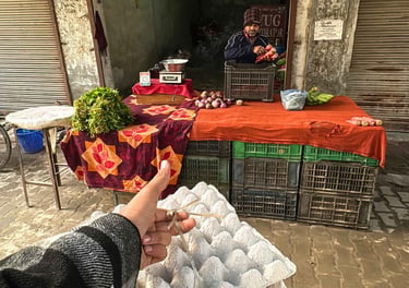 Panipat organica daily customer