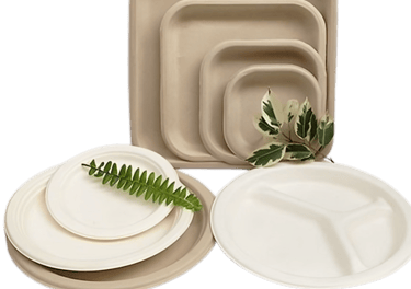 a eco friendly disposable plate with a fern leaf on it