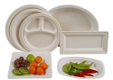 bunch of bagasse plates 