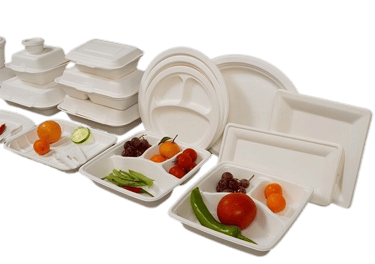 a variety of eco friendly bagasse food containers with fruits and vegetables