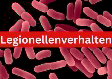 Legionellenverhalten