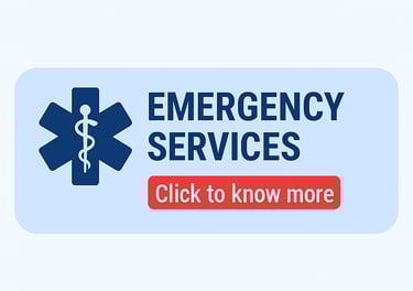 Find ambulance and blood bank services in karnal