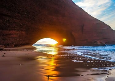 a bird is standing in front of a cave