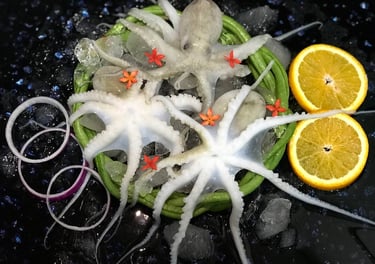 Frozen-Seafood-Octopus