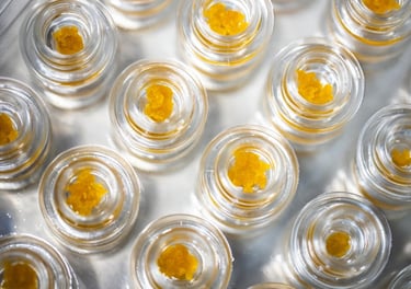 Overhead view of several small glass jars filled with golden cannabis concentrate live resin wax.