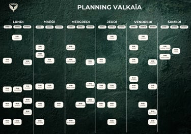 Planning d'une salle de sport sur Pau