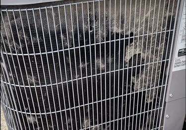 AC unit cleaning