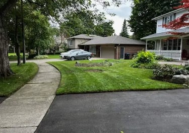 freshly mowed, trimmed and edged lawn grass.