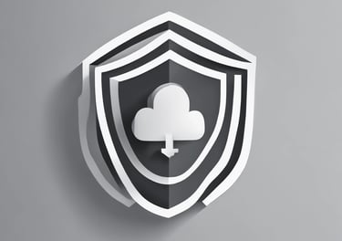 A professional consultant discussing cybersecurity frameworks with a client.