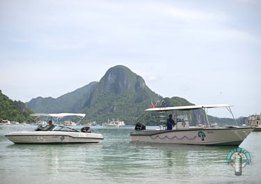 el nido philippines diving