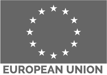the european union flag with stars on the bottom