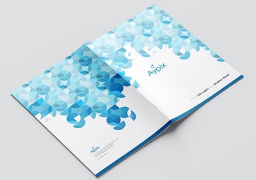 alt="Creative Design Agency | Design Team Concepts brochure and flyer design for branding"