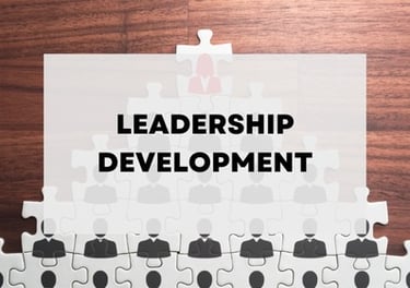 Banner for Leadership Development by 1664 Training Solutions