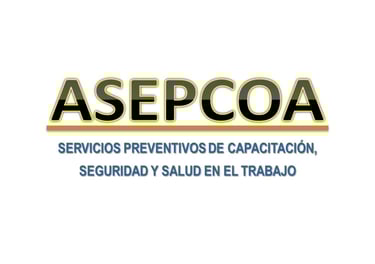 ASEPCOA SEGURIDAD INDUSTRIAL PARTNER STERVNOVA