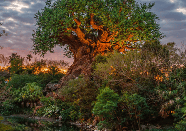 Tree of Life