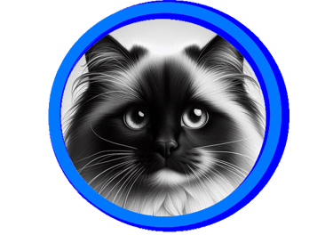 Toutes les extrémités du chat sont foncées.